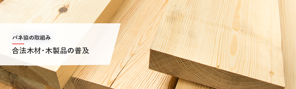 Activities 合法木材・木製品の普及