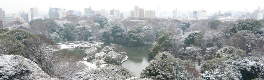 雪化粧の六義園：冬